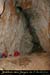 20080210_9gorges_33
