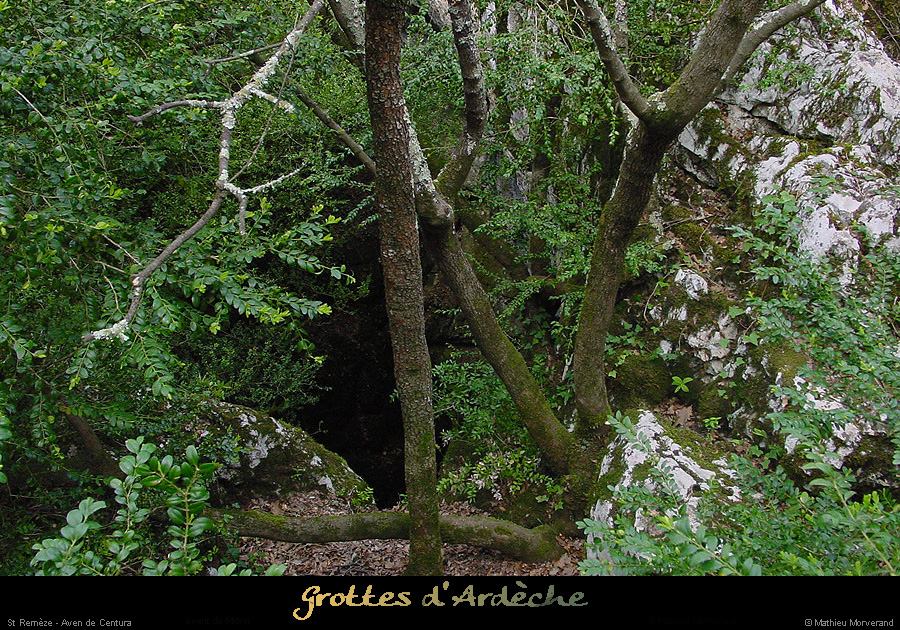 20020330_avendecentura_2