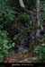20020824_avenducadet_entree_2