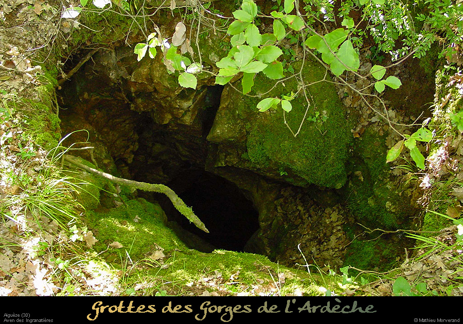 20010823_avendesingranatieres_2
