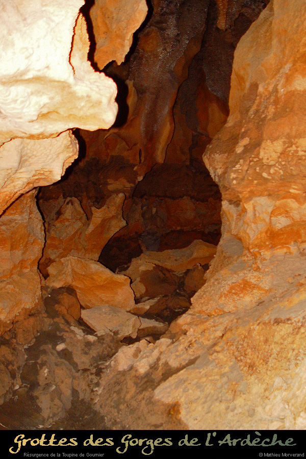 20041230_resurgencedelatoupine_in_5