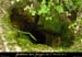 20010823_avendesingranatieres_2