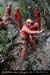 20080308_ad04