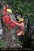 20080308_ad22