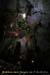 20080308_ad62