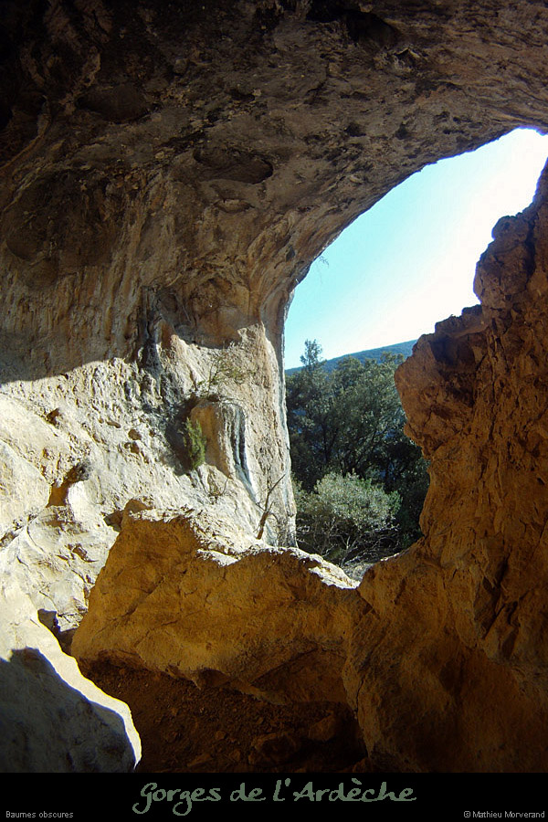 20120215_baumesobscures3