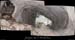 20090411_baumeobscurespano