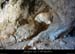 20120215_baumesobscures2