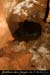 20121104_grottebodine_in07