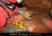 20121104_grottebodine_in10