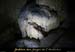 20121104_grottebodine_in13