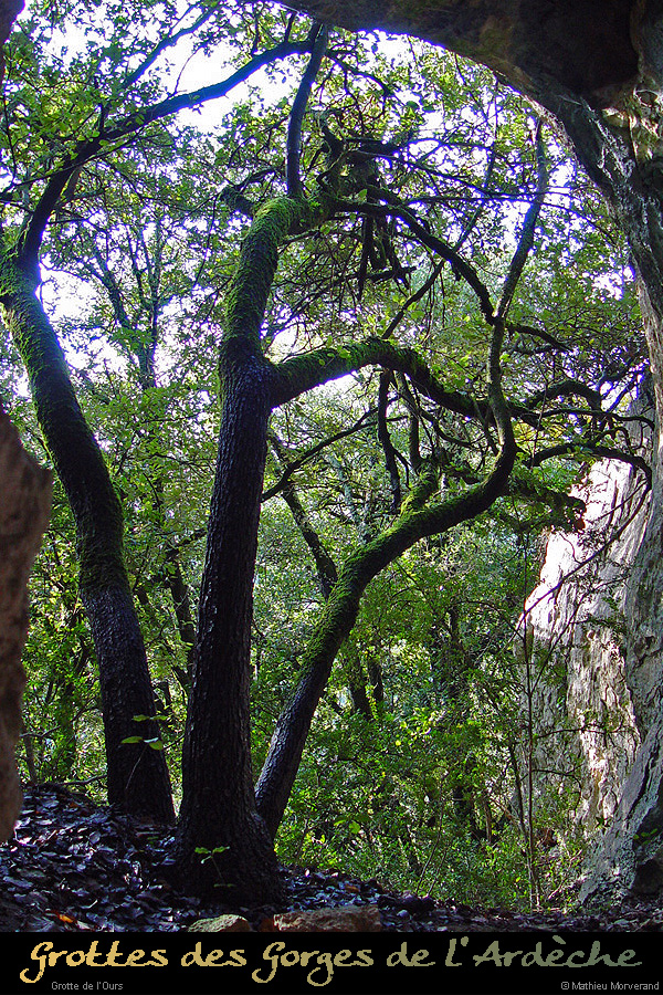 20041030_grottedel'ours_entreesuperieure_4