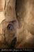 20100722_ours15