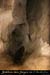 20100722_ours16