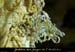 20151226_cloturein_jpl