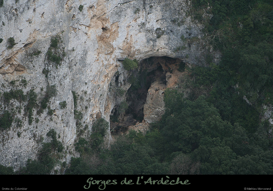 20081228_saleyroncolombier2
