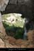 20080508_grottecolombierout11