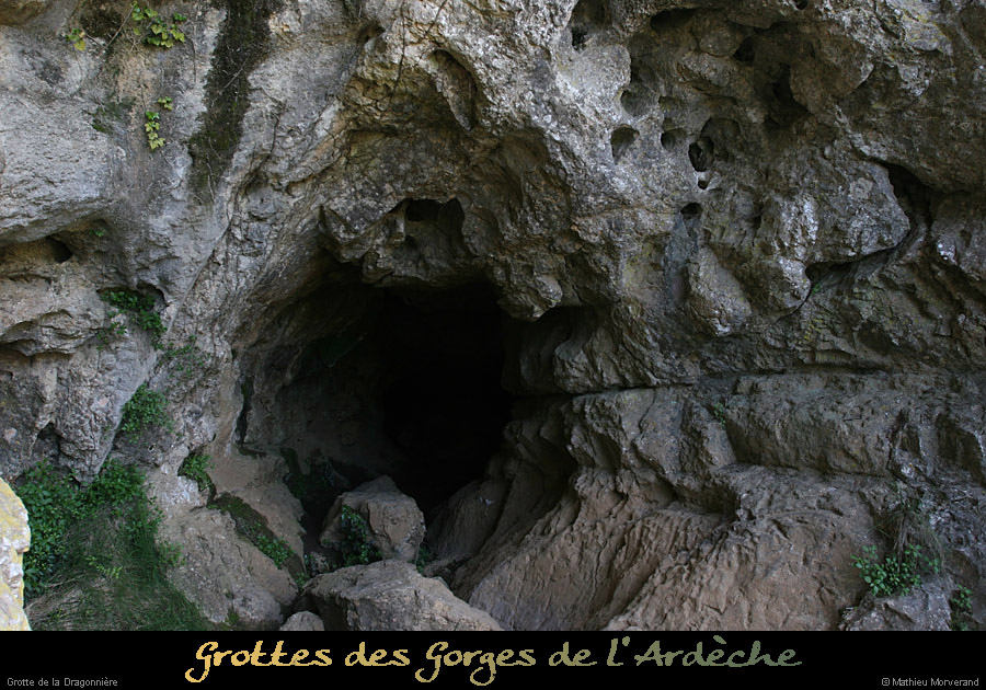 20110427_dragonniere_entree4