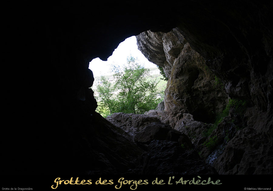 20110427_dragonniere_sortie4