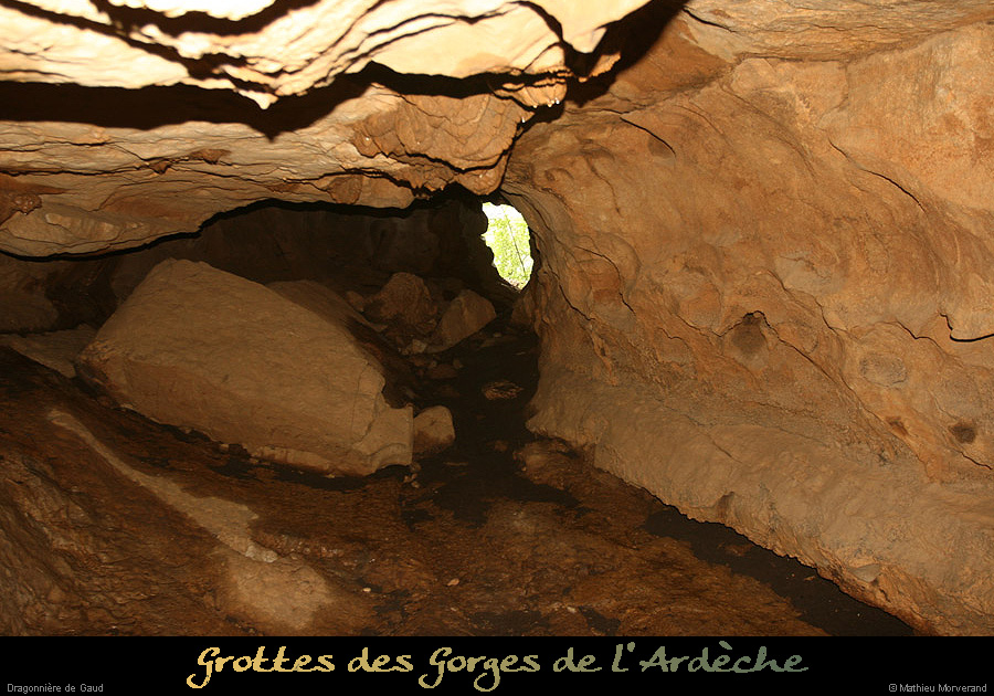 20130602_dragonnieredegaud_sortie1