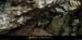 20021116_eventdefoussoubie_06