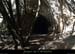 20121102_gorges_baumesgeodan1