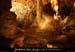20080408_madeleine11