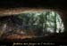 20080920_grotte_maiagar02