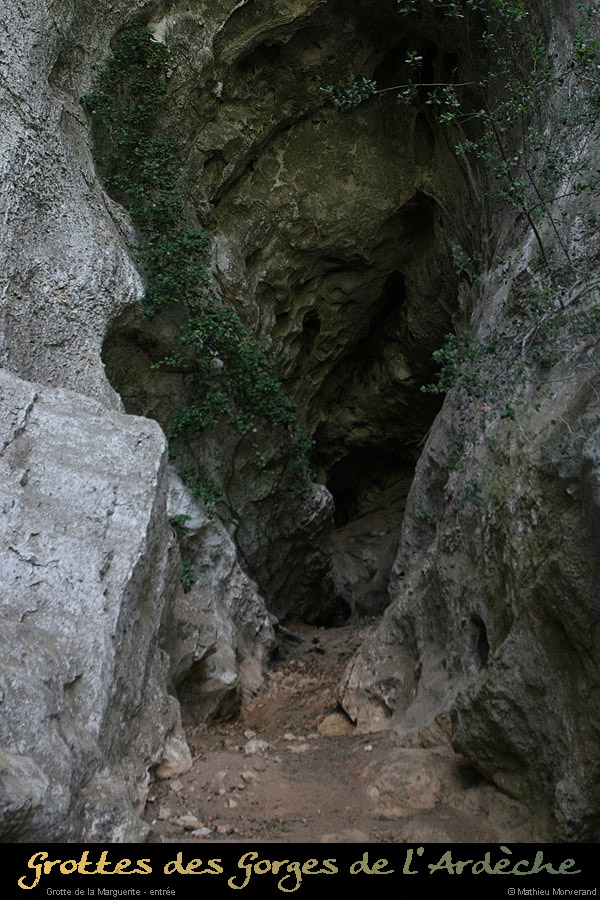 20120822_marguerite_entree