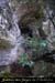 20100404_viresupmarguerite_grotte1entree1