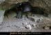 20100404_viresupmarguerite_grotte2entree1