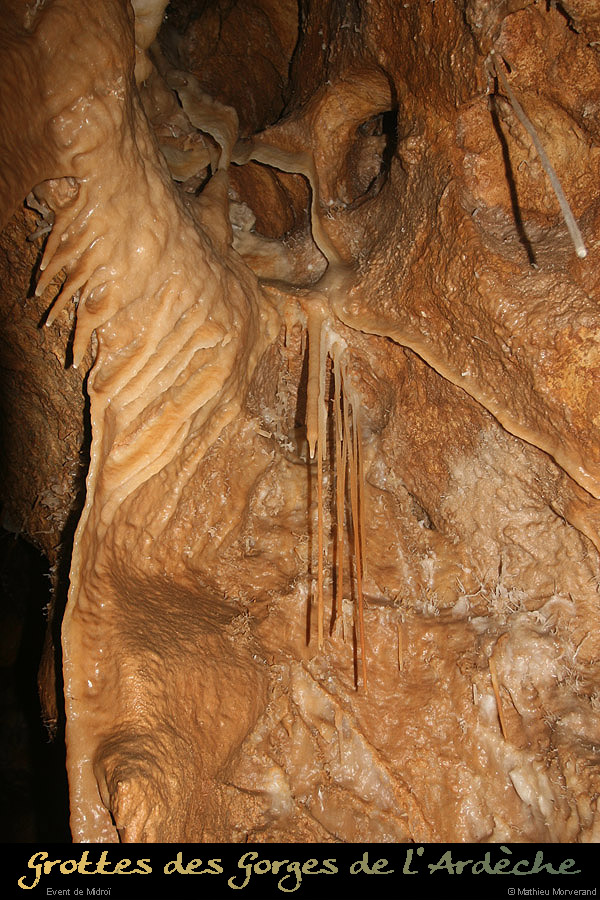 20091030_064