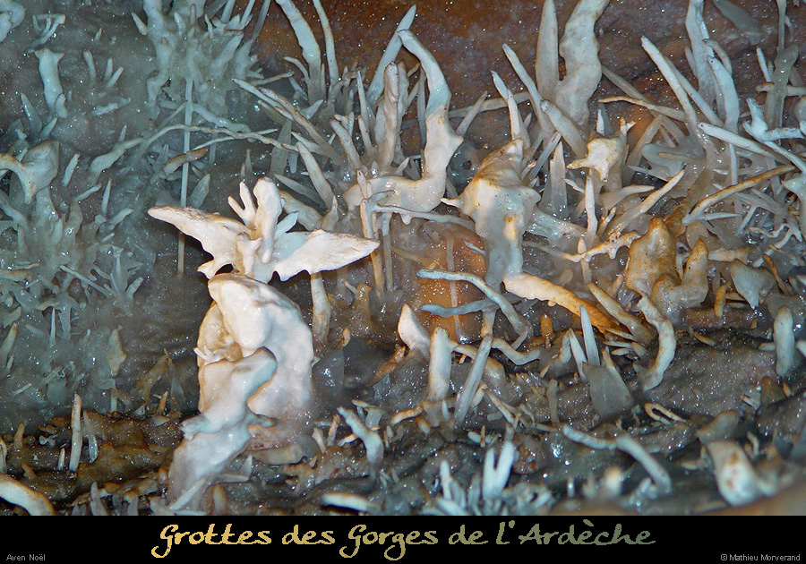 20030129_avennoel_excentriques_6