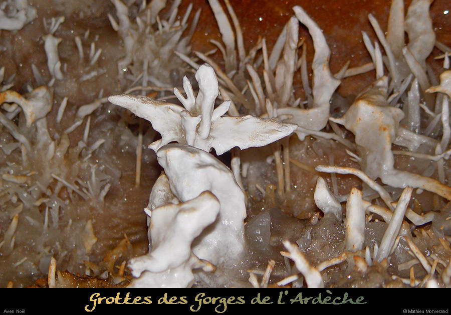 20030129_avennoel_excentriques_7