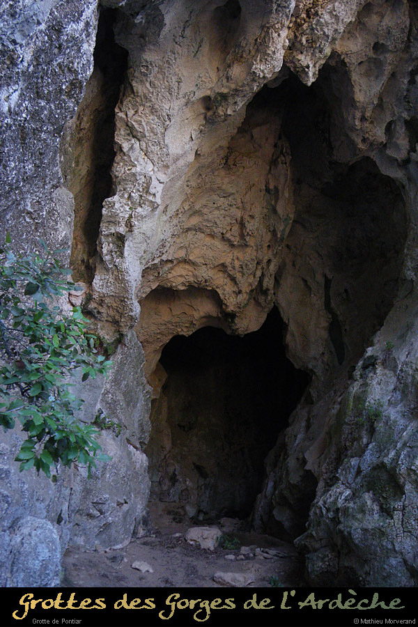 20110128_pontiarw2_entree1