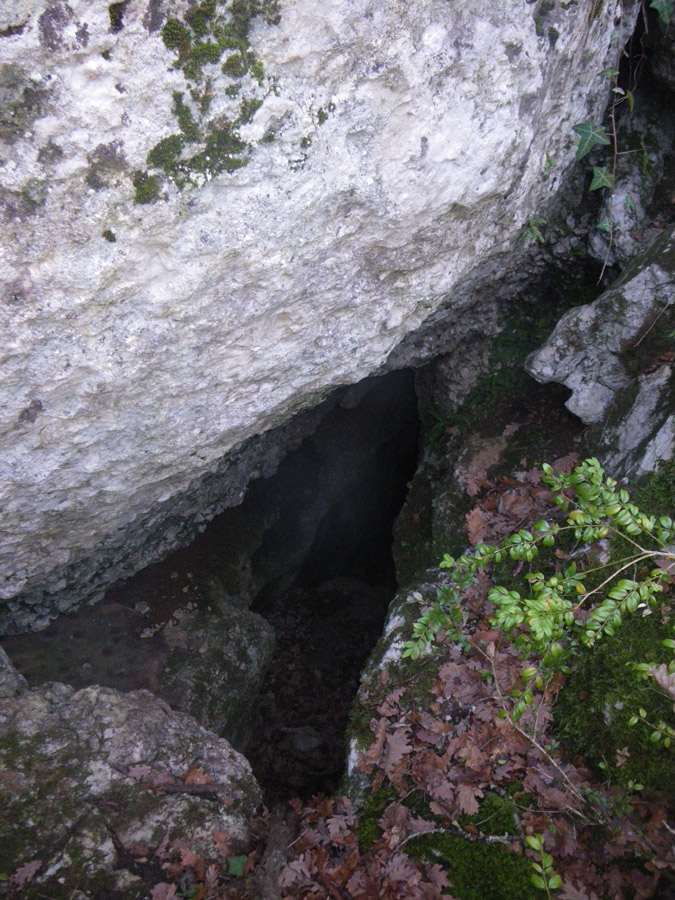 n442808e0041918_002