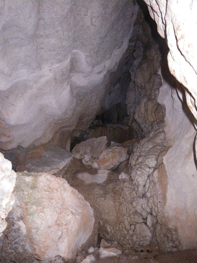 n442808e0041918_007
