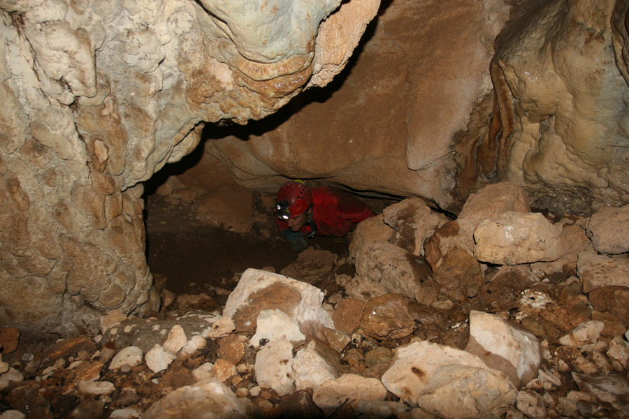 n442808e0041918_008
