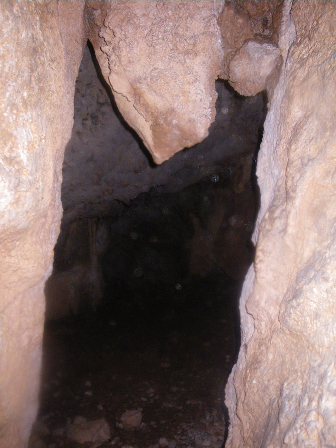 n442808e0041918_010