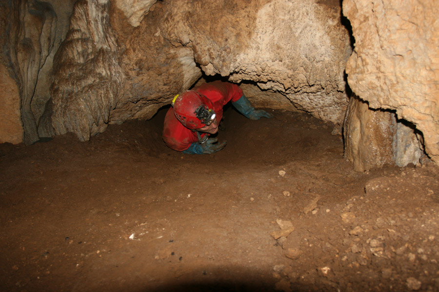 n442808e0041918_014