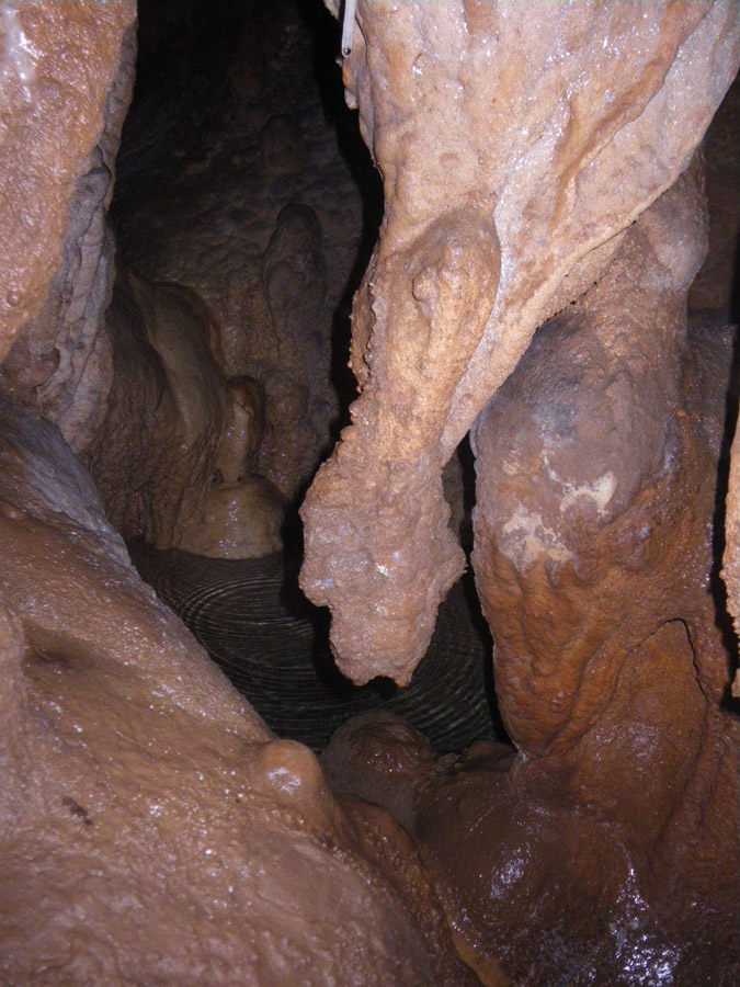 n442808e0041918_015