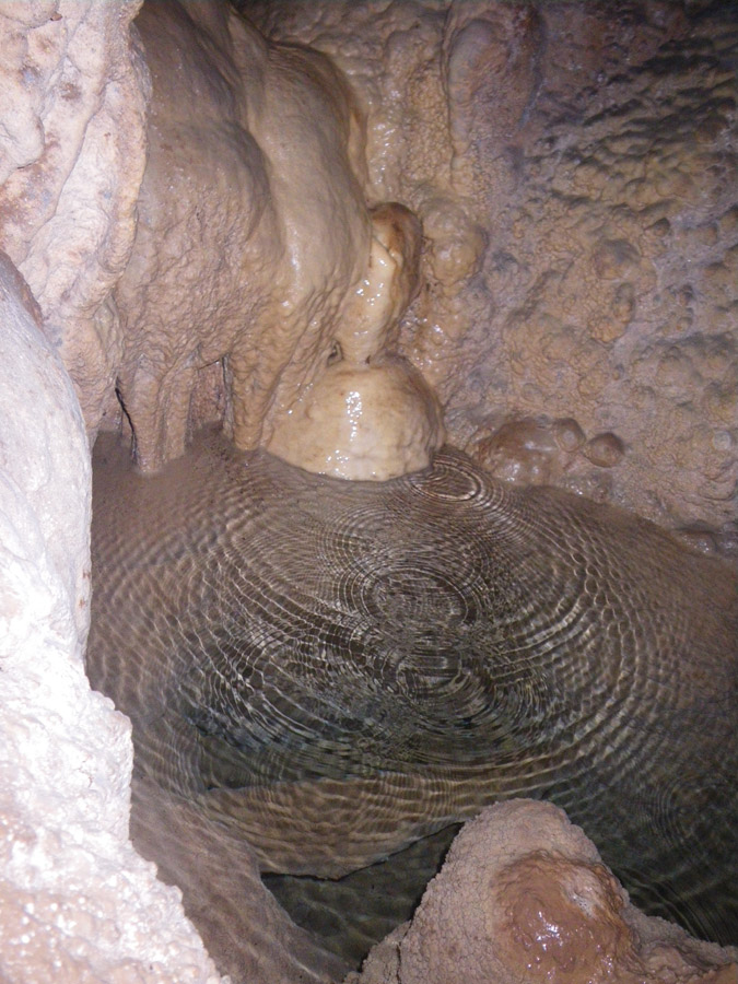 n442808e0041918_016