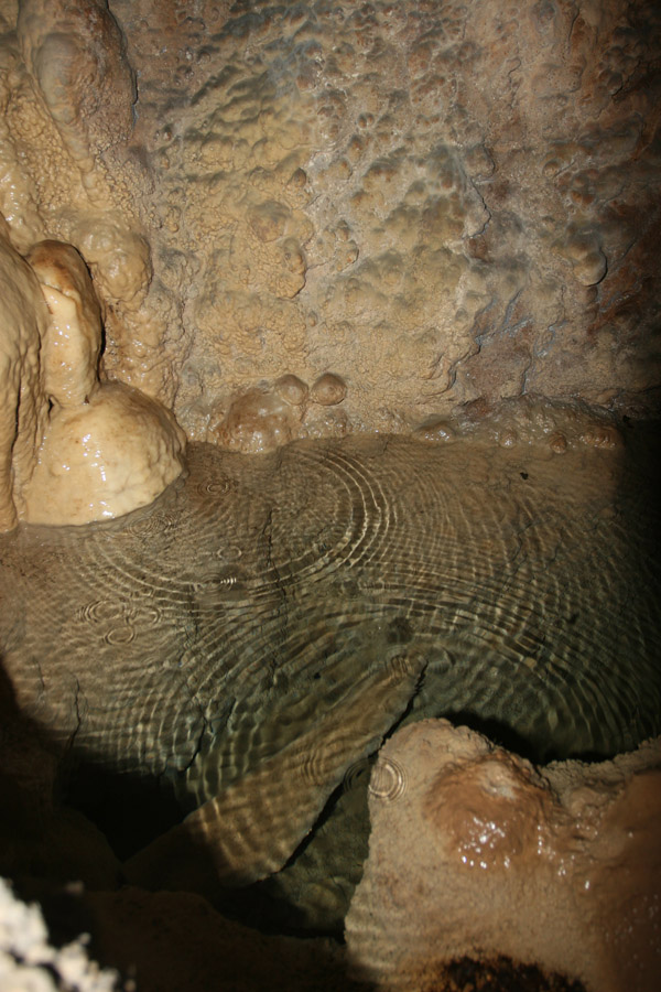 n442808e0041918_017
