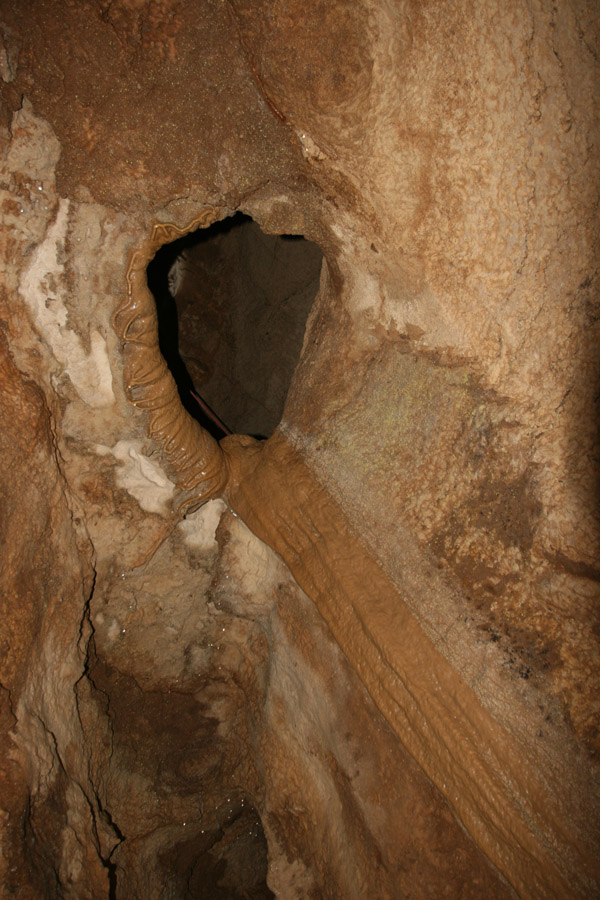 n442808e0041918_036