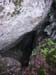 n442808e0041918_002