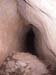 n442808e0041918_009
