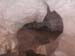 n442808e0041918_037