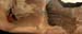n442808e0041918_042