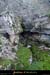 20131116_baumepecher_entree1