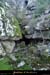 20131116_baumepecher_entree2